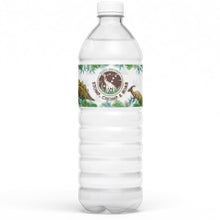 Labels: Water: Dino (BUY)