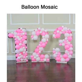 Balloon Installation (SERVICE)