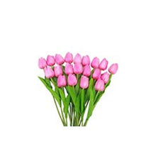 Flowers: Tulips P (RENT)