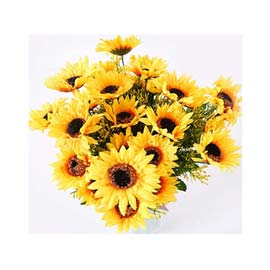 Flowers: Sunflowers (RENT)