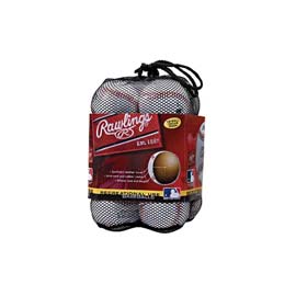 Baseball Bag (RENT)