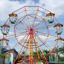 Ferris Wheel (RENT)